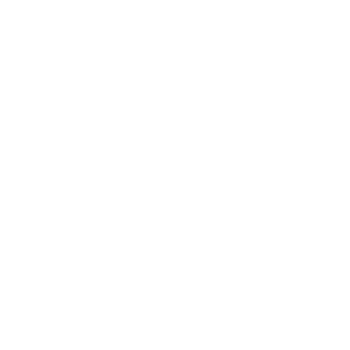 rise-fest
